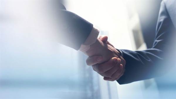 Supporting Mergers and Acquisitions with Interim Management in Belgium